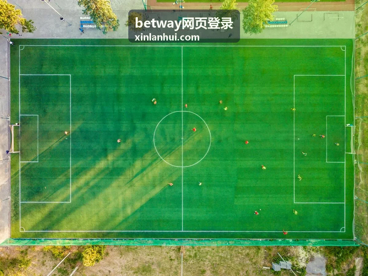 betway网页登录入口地址确认示意图