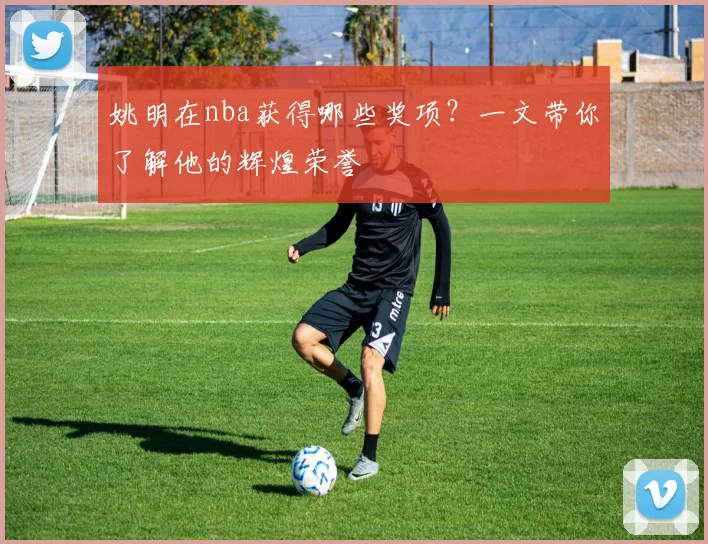 姚明在nba获得哪些奖项?一文带你了解他的辉煌荣誉