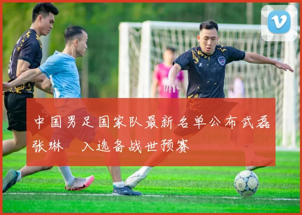 中国男足国家队最新名单公布武磊张琳芃入选备战世预赛