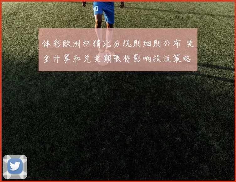 体彩欧洲杯猜比分规则细则公布 奖金计算和兑奖期限将影响投注策略