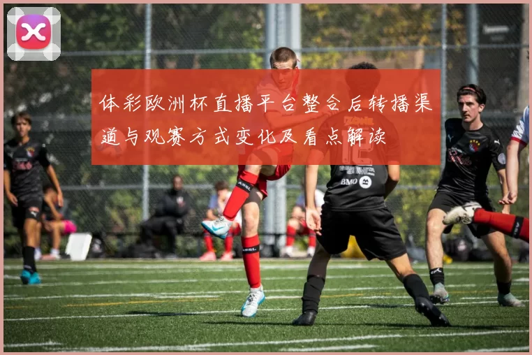 体彩欧洲杯直播平台整合后转播渠道与观赛方式变化及看点解读