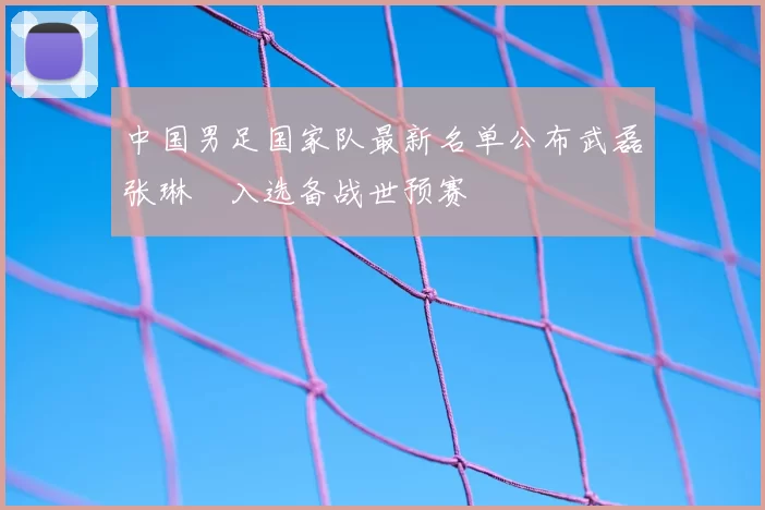 中国男足国家队最新名单公布武磊张琳芃入选备战世预赛